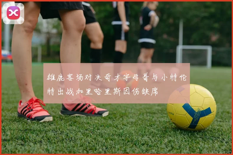 雄鹿客场对决奇才字母哥与小特伦特出战加里哈里斯因伤缺席