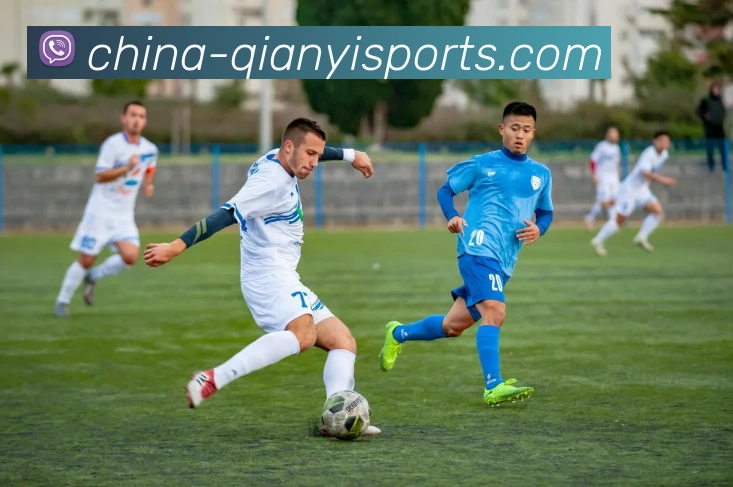 多媒体互动体验